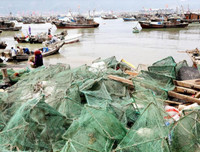 [Ảnh] Đội tàu đánh cá 