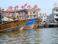 [Ảnh] Đội tàu đánh cá 