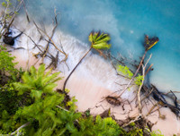 Thông điệp về môi trường thế giới qua những bức ảnh đoạt giải CIWEM 2019