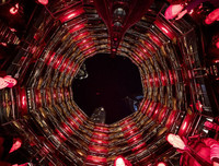 Hình ảnh mới nhất về đón Tết Canh Tý 2020 trên thế giới