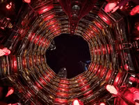 Hình ảnh mới nhất về đón Tết Canh Tý 2020 trên thế giới