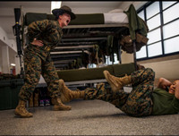 [Ảnh] Hậu trường cuộc sống thực của các đội nữ quân nhân, chiến binh nổi tiếng thế giới