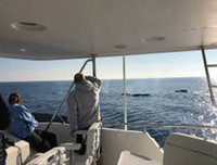 Những thú vị về chương trình sử dụng động vật gián điệp trong Chiến tranh Lạnh mà CIA vừa giải mật