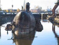 Những thú vị về chương trình sử dụng động vật gián điệp trong Chiến tranh Lạnh mà CIA vừa giải mật