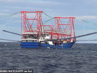 [Ảnh] Đội tàu đánh cá 