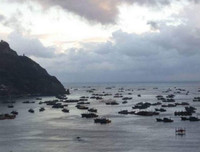 [Ảnh] Đội tàu đánh cá 