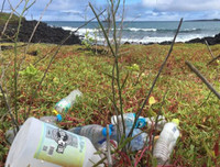 [Ảnh] Đội tàu đánh cá 