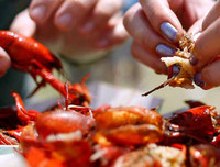 15 điều luật lạ lùng - đáng ngạc nhiên là vẫn tồn tại ở nước Mỹ