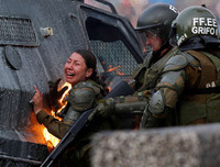 Những bức ảnh Instagram đẹp nhất năm 2019 trên Hãng thông tấn Reuters