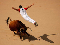 Những bức ảnh Instagram đẹp nhất năm 2019 trên Hãng thông tấn Reuters