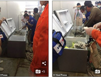 Kinh sợ vụ nữ triệu phú Thái Lan bị sát hại, đổ bê tông vào tủ lạnh