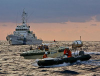 [Ảnh] Vì sao Senkaku/Điếu Ngư thành 