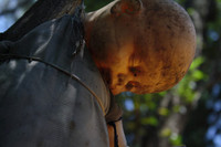 [ẢNH] Rùng rợn khi đặt chân lên Đảo Búp bê ma quái với những câu chuyện đầy ám ảnh