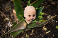 [ẢNH] Rùng rợn khi đặt chân lên Đảo Búp bê ma quái với những câu chuyện đầy ám ảnh