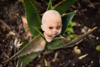 [ẢNH] Rùng rợn khi đặt chân lên Đảo Búp bê ma quái với những câu chuyện đầy ám ảnh