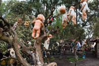 [ẢNH] Rùng rợn khi đặt chân lên Đảo Búp bê ma quái với những câu chuyện đầy ám ảnh