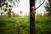 [ẢNH] Rùng rợn khi đặt chân lên Đảo Búp bê ma quái với những câu chuyện đầy ám ảnh