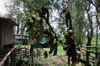 [ẢNH] Rùng rợn khi đặt chân lên Đảo Búp bê ma quái với những câu chuyện đầy ám ảnh