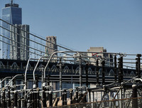 [Ảnh] Chuyên gia cảnh báo 