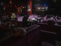 New York Times tung bộ ảnh về các không gian công cộng nổi tiếng mùa dịch Covid-19