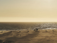 New York Times tung bộ ảnh về các không gian công cộng nổi tiếng mùa dịch Covid-19