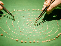 Những bức ảnh dị thường - kỳ quặc nhất năm 2019, càng ngắm kỹ càng thấy thú vị