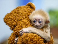 Những bức ảnh dị thường - kỳ quặc nhất năm 2019, càng ngắm kỹ càng thấy thú vị