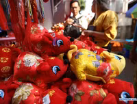 Hình ảnh mới nhất về đón Tết Canh Tý 2020 trên thế giới