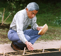 Những bức ảnh hiếm hoi về cuộc đời Nhật hoàng Akihito