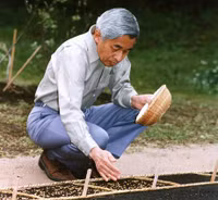 Những bức ảnh hiếm hoi về cuộc đời Nhật hoàng Akihito