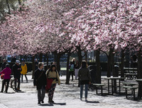 Thụy Điển hết thời 