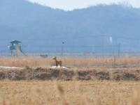 [Ảnh] Trải nghiệm tham quan 