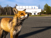 [Ảnh] Trải nghiệm rùng rợn khi tham quan 