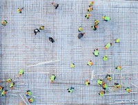 Hình ảnh mới nhất về xây dựng 2 bệnh viện chống đại dịch viêm phổi ở Vũ Hán