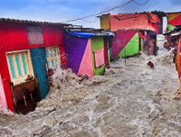 Thông điệp về môi trường thế giới qua những bức ảnh đoạt giải CIWEM 2019