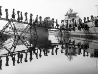 Thông điệp về môi trường thế giới qua những bức ảnh đoạt giải CIWEM 2019