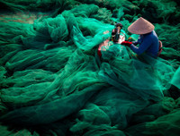 Thông điệp về môi trường thế giới qua những bức ảnh đoạt giải CIWEM 2019