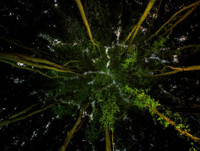 Thông điệp về môi trường thế giới qua những bức ảnh đoạt giải CIWEM 2019