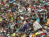 Thông điệp về môi trường thế giới qua những bức ảnh đoạt giải CIWEM 2019