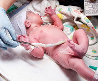 Thế giới năm 2019 có gì để con người ta lạc quan hơn?