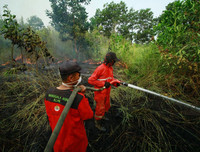 [Ảnh] Các quốc gia Đông Nam Á ngột ngạt và bất an vì khói mù