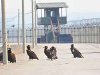 [Ảnh] Trải nghiệm tham quan 