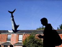 Những bức ảnh dị thường - kỳ quặc nhất năm 2019, càng ngắm kỹ càng thấy thú vị