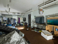 Phát hiện trang trại trồng cần sa bí mật ngay dưới nền nhà hát cũ ở London