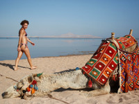 Vẻ đẹp huyền bí của quốc gia lớn nhất Trung Đông - Saudi Arabia