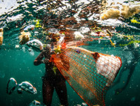 Thông điệp về môi trường thế giới qua những bức ảnh đoạt giải CIWEM 2019