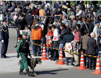 [Ảnh] Nhật hoàng và Hoàng hậu ngồi xe diễu hành trên đường phố Tokyo