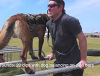 [Ảnh] Hé lộ quy trình tuyển mộ và huấn luyện chó nghiệp vụ của đặc nhiệm Mỹ