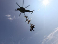 [Ảnh] Hé lộ quy trình tuyển mộ và huấn luyện chó nghiệp vụ của đặc nhiệm Mỹ