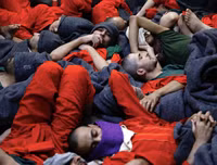 Lực lượng người Kurd 